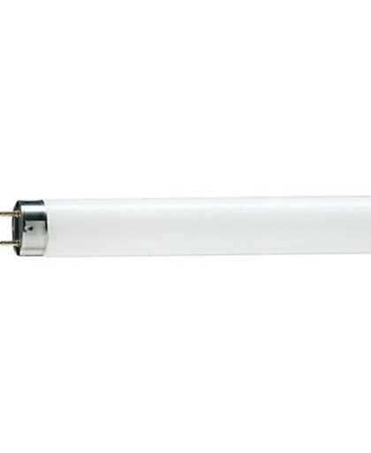 Philips TL-D 58W 58W G13 B Wit fluorescente lamp