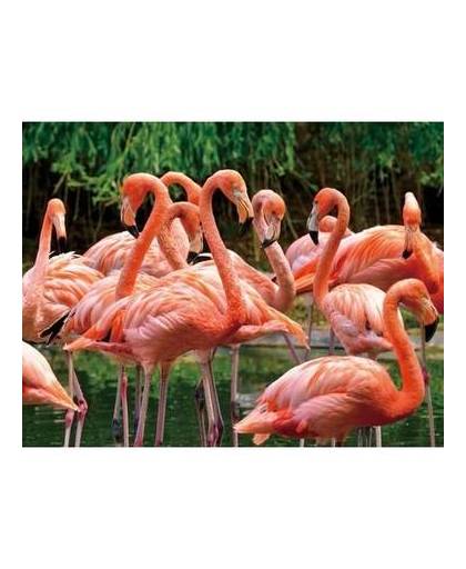 Dieren magneet 3d flamingo