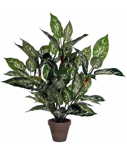 Mica Kunstplant Dieffenbachia Groen - H 70cm