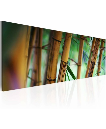 Schilderij - Wilde Bamboe  120x40cm