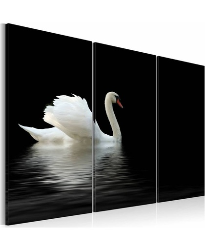 Schilderij - Eenzame witte zwaan