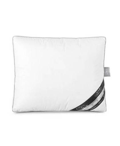 Sleeptime 3 chamber box pillow white - 50 x 60 x 8 - wit