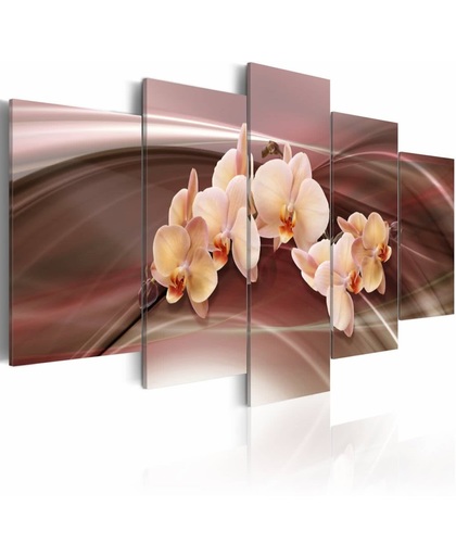 Schilderij - Orchideeën op dynamische lijnen achtergrond