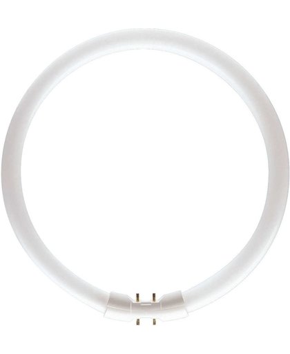 Philips MASTER TL5 Circular 39.9W 2GX13 A Koel wit fluorescente lamp