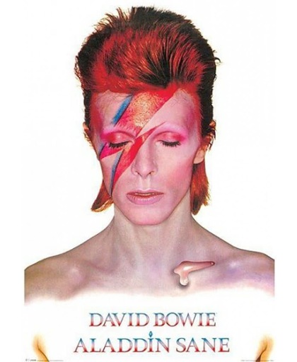 Poster David Bowie Aladdin Sane 61 x 91,5 cm