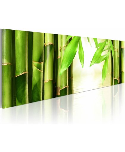 Schilderij - Bamboe gate 120x40cm