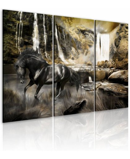 Schilderij Zwart paard voor waterval