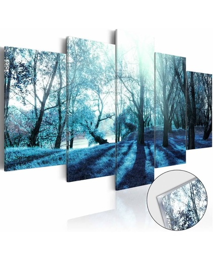 Afbeelding op acrylglas - Mysterieus bos