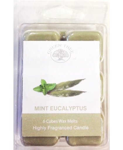 Wax Melts Mint Eucalyptus - 80 gram