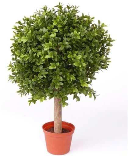 Buxus bol op stam in pot 35 cm - kunstplant