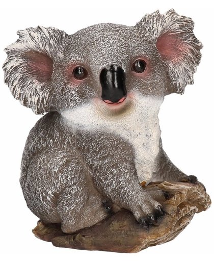 Dierenbeeld koala 20 cm - Koalabeer beeldje
