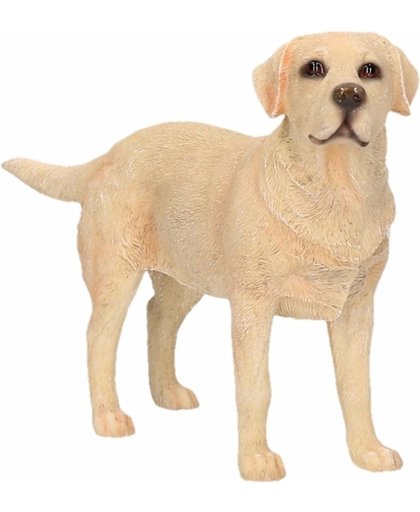 Beeldje Labrador hond blond 15 cm