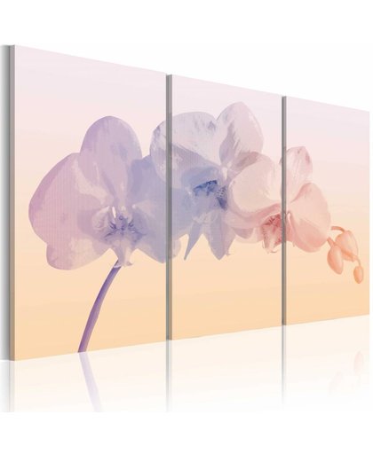 Schilderij - Orchideeën reeks