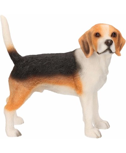 Beeldje Beagle 11 cm - Honden beeld
