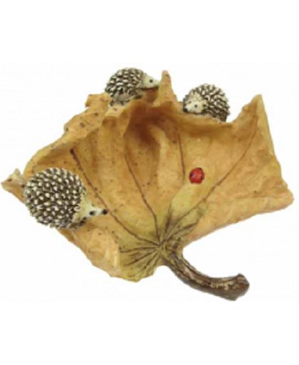 Egels op herfstblad met lieveheersbeestje
