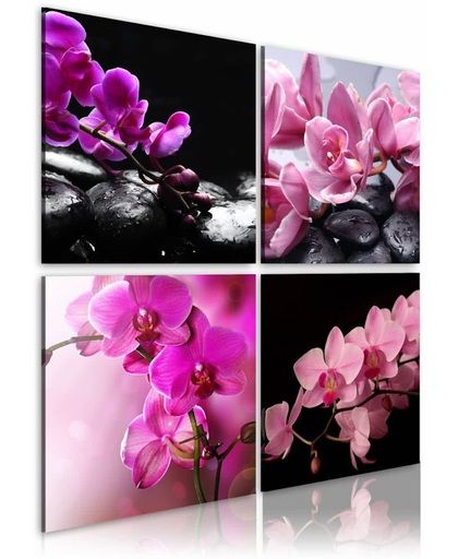 Schilderij - Orchideeën mooier dan ooit