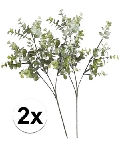 2 x Grijs/groene eucalyptus tak 65 cm - Kunstbloemen