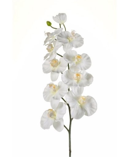 Kunst Orchidee tak 100 cm wit - kunstbloem