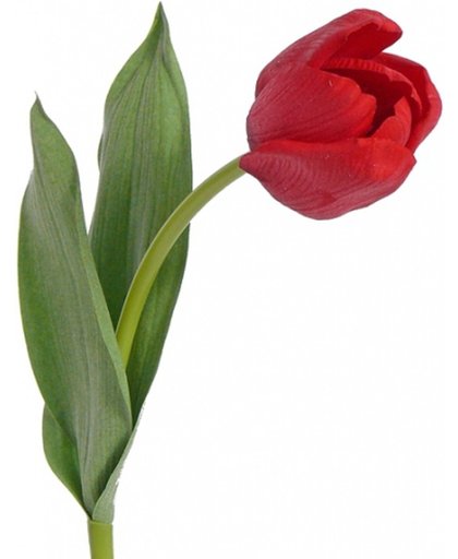 Tulp rood 48 cm
