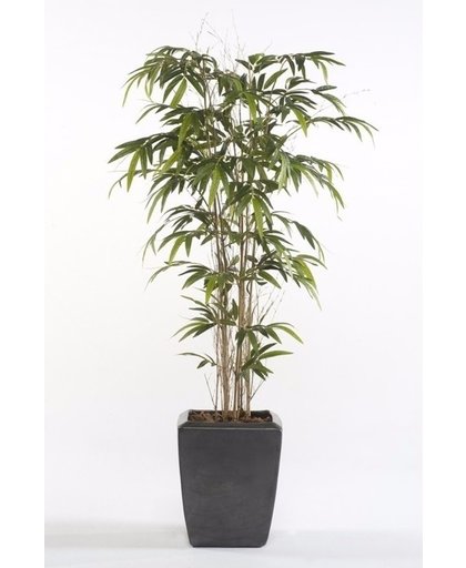 Kunstplant Bamboe Promo in pot 150 cm