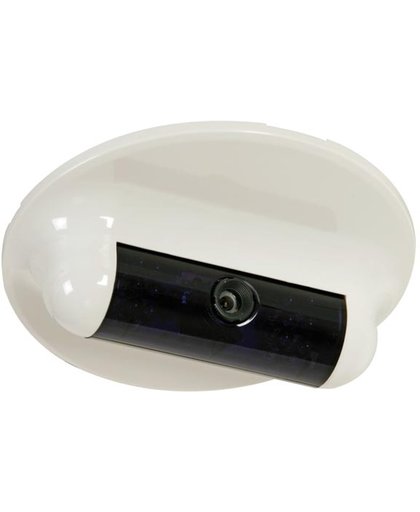 1/3" Discrete Dome-Camera - Gebruik Binnenshuis - 600 Tv-Lijnen - Sony Effio - 14 Ir-Leds