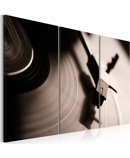Schilderij - Stijlvolle grammofoon, Vinyl