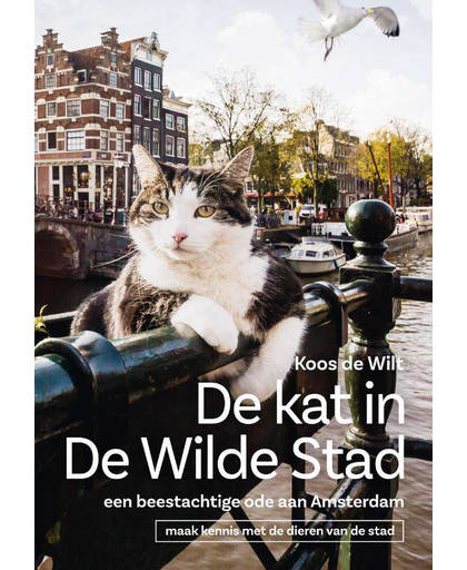 De Kat in de Wilde Stad, een beestachtige ode aan Amsterdam - Koos de Wilt