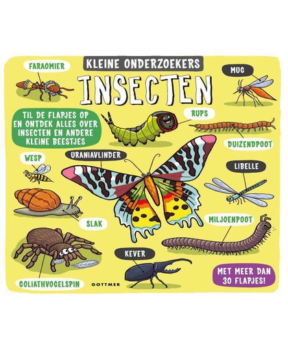 Kleine onderzoekers: Insecten