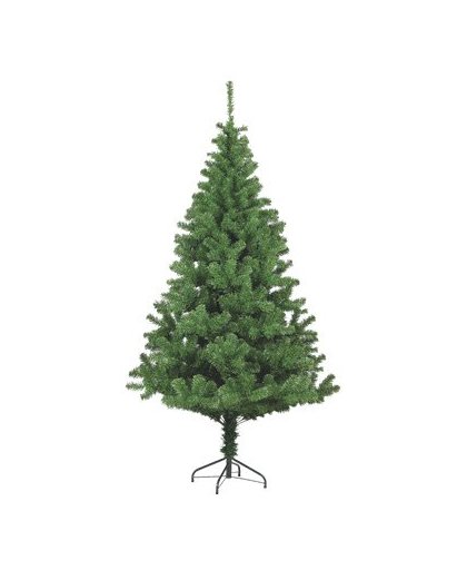 Kerstboom Tirol - 150 cm