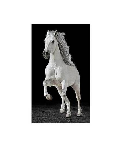 Paarden strandlaken - 100x180 cm