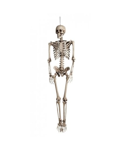 Groot decoratie skelet 160 cm Multi