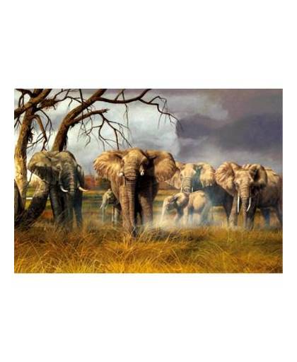 Placemat olifanten 3d 28 x 44 cm
