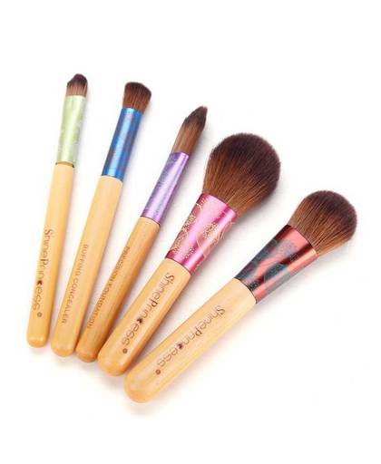 Set Make-Up Brushes (5 Stuks)