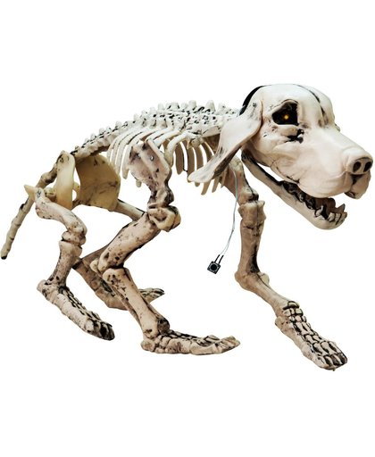 Europalms Halloween terror hond