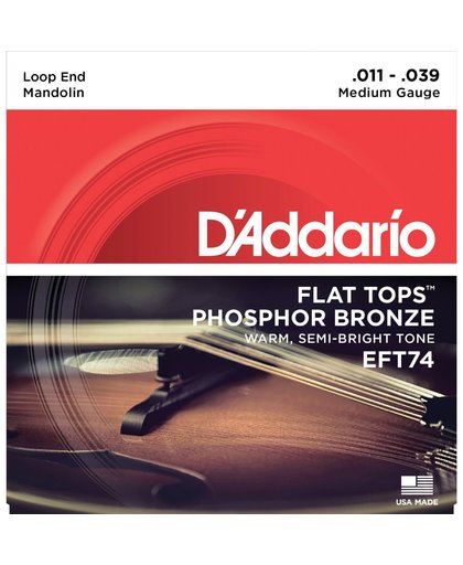 Daddario EFT74 snarenset voor mandoline