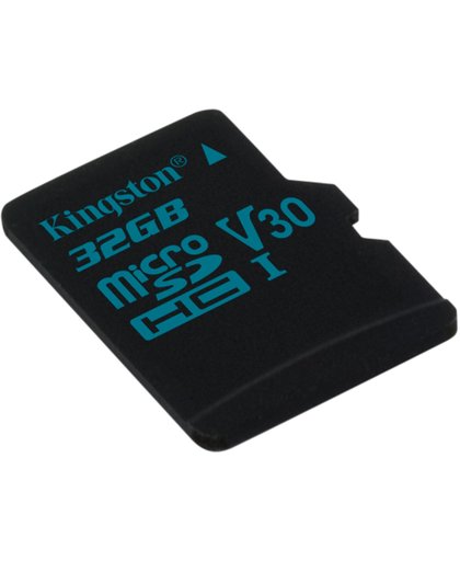 Kingston Technology Canvas Go! flashgeheugen 32 GB MicroSDHC Klasse 10 UHS-I