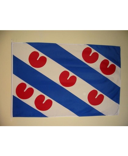 vlag Friesland 30 x 45 cm