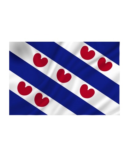 Vlag Friesland 70x100 Spun-Poly