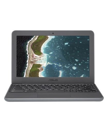ASUS Chromebook C202SA-GJ0061 Grijs 29,5 cm (11.6") 1366 x 768 Pixels 1,6 GHz Intel® Celeron® N3060
