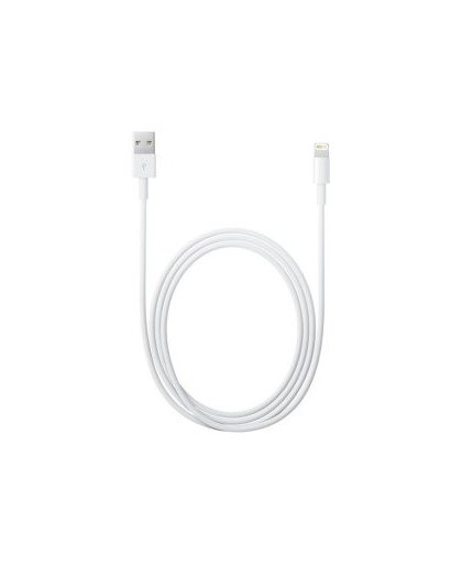 Apple USB-lichtnetadapter (5W) wit