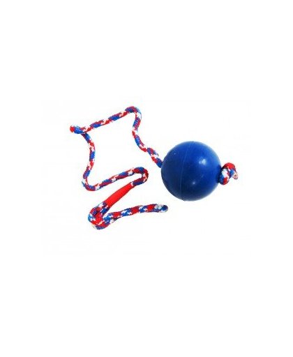 Massief rubberen bal aan touw voor de hond Klein