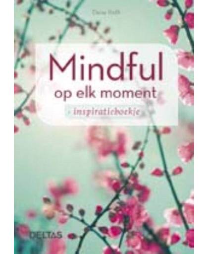 Mindful op elk moment - Daisy Roth