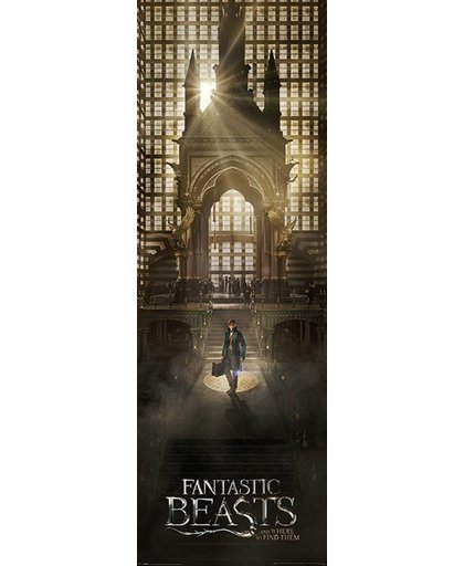Fantastic Beasts And Where To Find Them Fantastic Beasts Teaser - Deurposter
