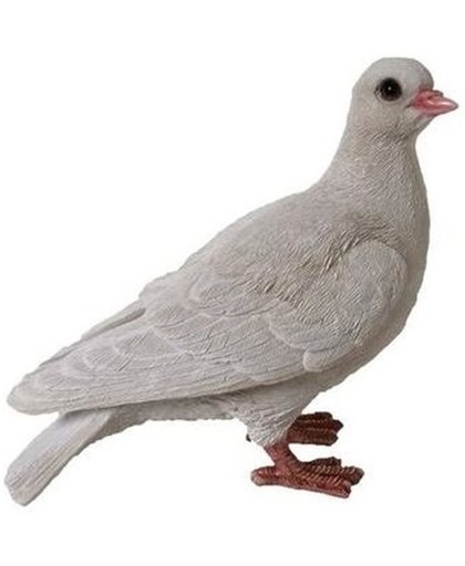 Dierenbeelden duif - Decoratie beeldje witte duif 19 cm