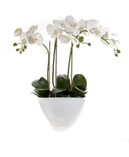 Kunstplant Orchidee wit 50 cm in pot