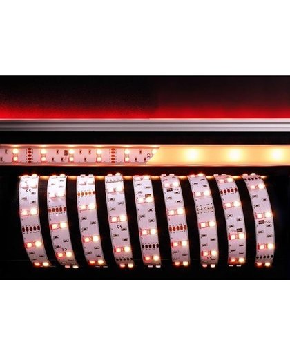 KapegoLED Flexible LED stripe, 5050-2x30-12V-RGB+3000K-3m, RGB + warmwhite, constant voltage, 12V DC, power / power consumption: 36,00 W / 36,00 W, length: 3000 mm, EEC: A, IP20
