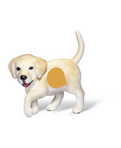 Ravensburger Tiptoi Golden Retriever puppy