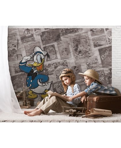Fotobehang Papier Disney, Donald Duck | Grijs | 254x184cm
