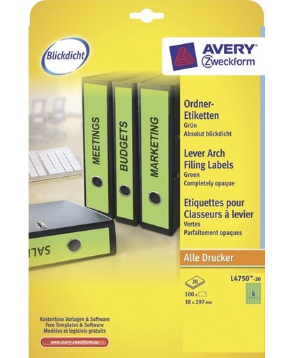 Avery Border Binder Labels, Green 38 x 297mm (20)