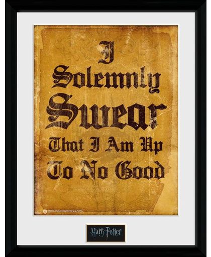 Merchandising HARRY POTTER - Collector Print 30X40 - I Solomnly Swear